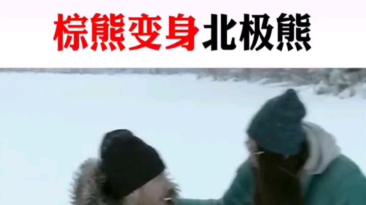 大变活熊